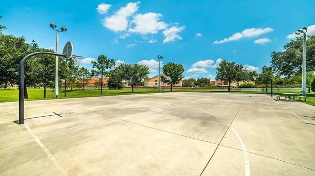 Basketball Court